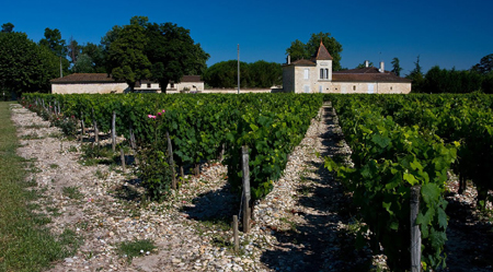 Château Doisy-Védrines 2ème Cru Classé - Image 4