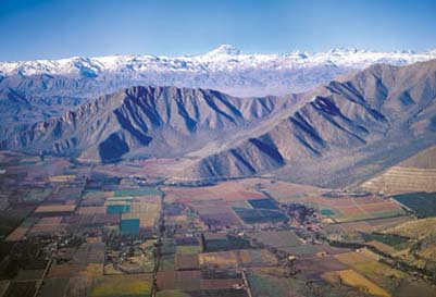 Errázuriz Don Maximiano Founder's Reserve - Image 3