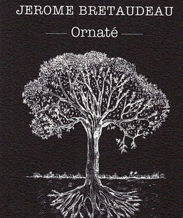 Domaine Bretaudeau Ornate Rouge - Image 2