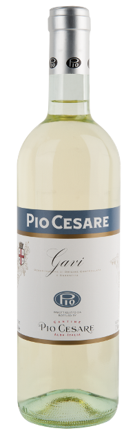 Pio Cesare Gavi