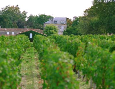 Château d'Armailhac 5ème Grand Cru Classé - Image 4