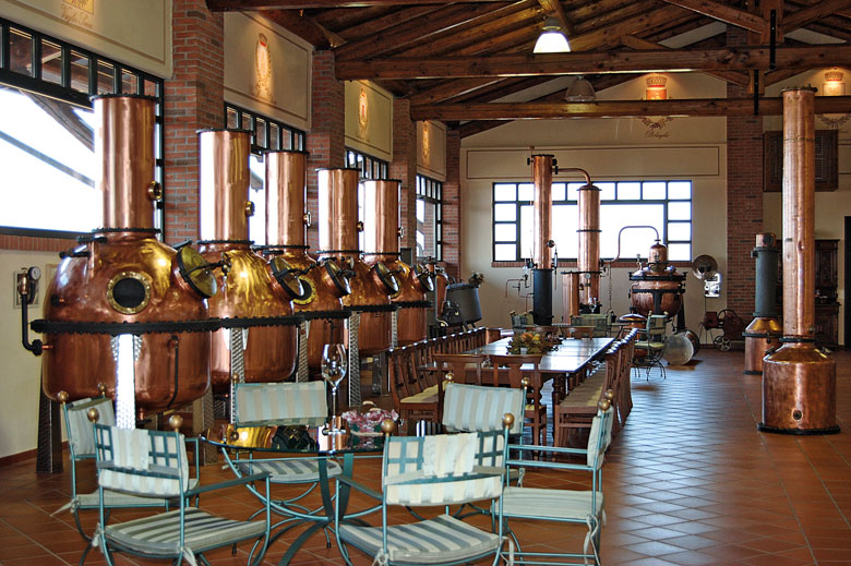 Berta Elisi - Image 4