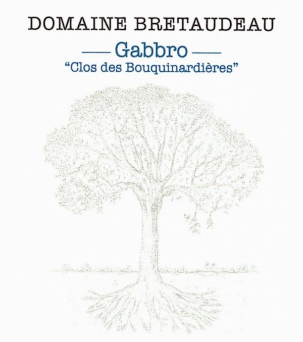 Domaine Bretaudeau Muscadet Gabbro Clos des Bouquinardieres Λευκός - Image 2
