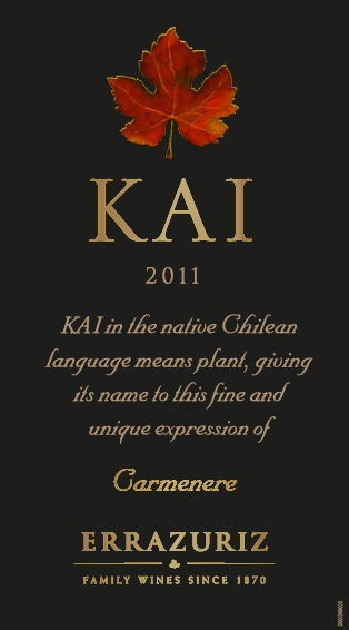Errázuriz Carmenere Kai Aconcagua - Image 2