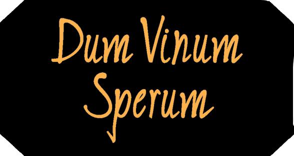 Σκούραs Dum Vinum Sperum Magnum - Image 3