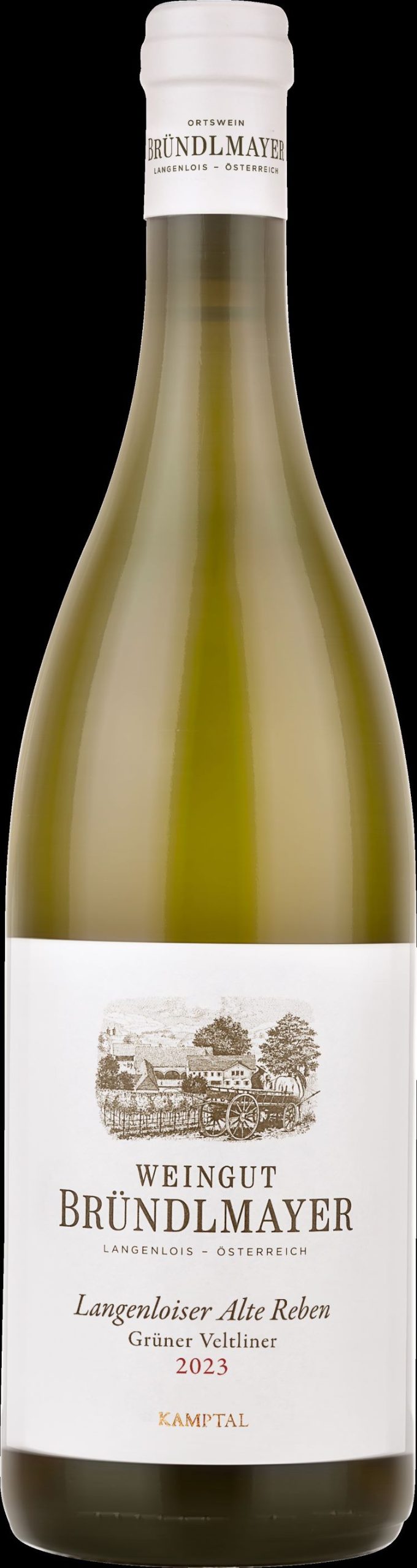 Brundlmayer Gruner Veltliner Langenloiser Alte Reben - Image 3